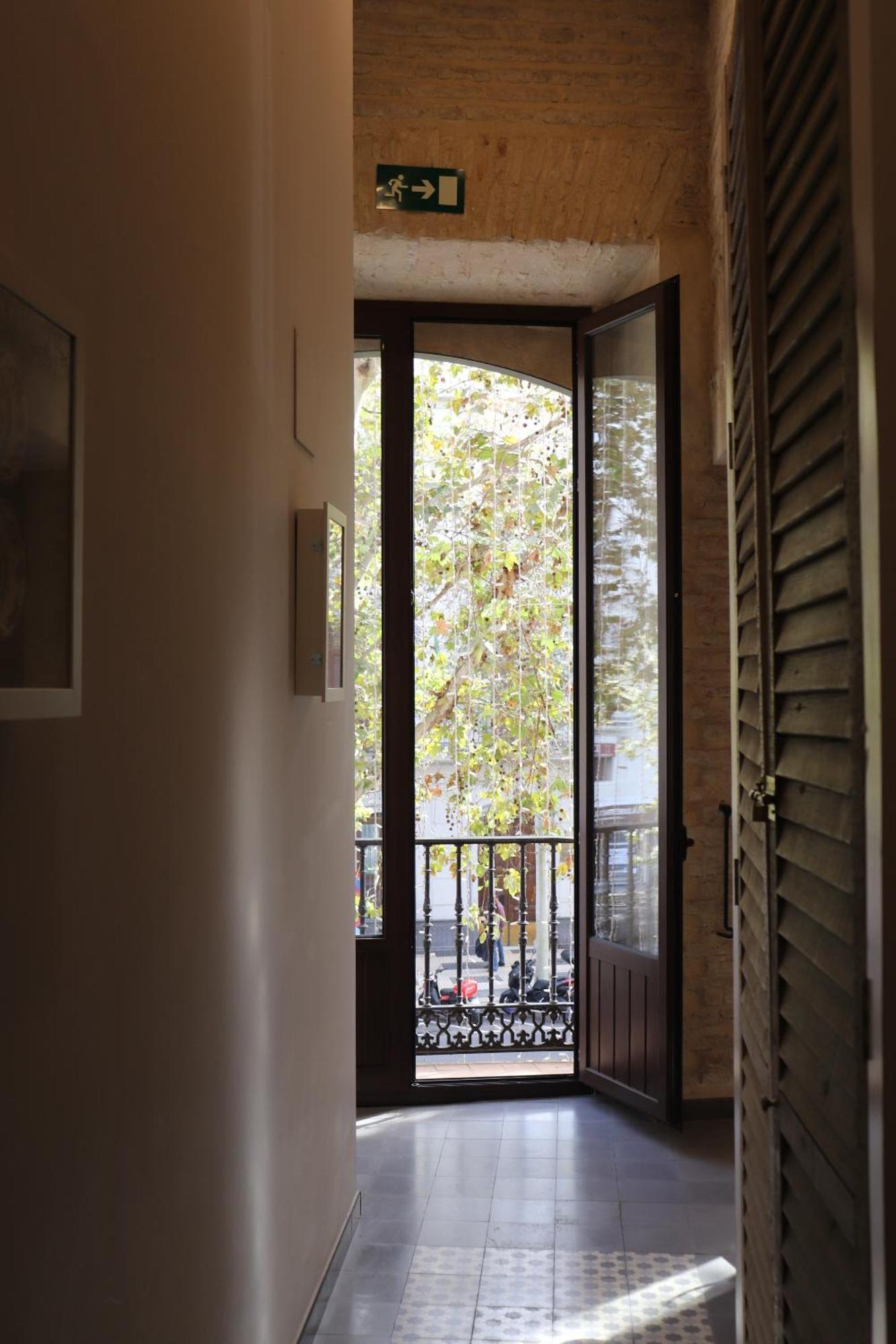Apartamentos Reyes Catolicos 14 Sevilla Dış mekan fotoğraf